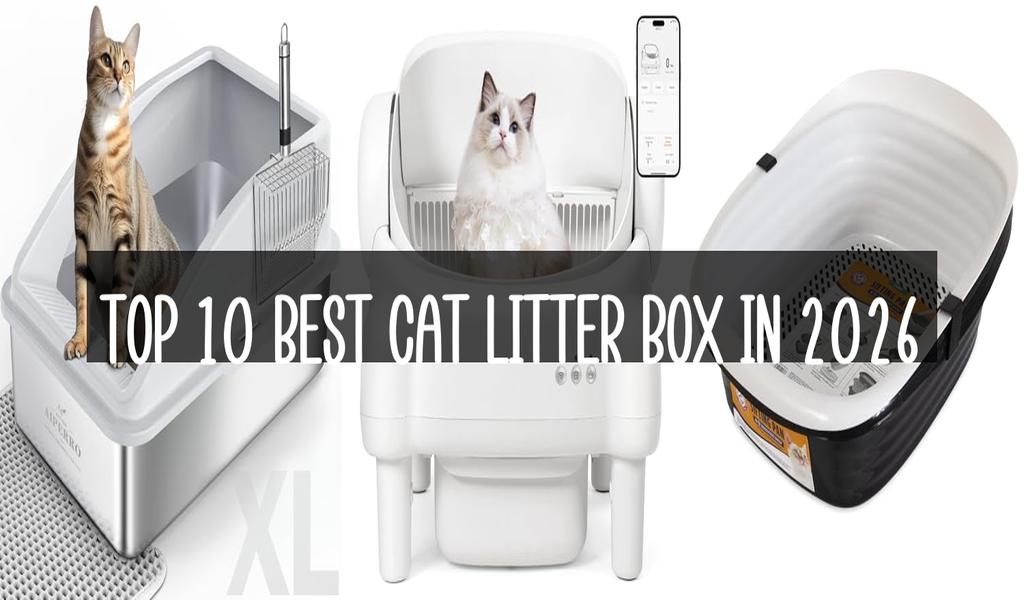 Top 10 Best Cat Litter Box in 2026