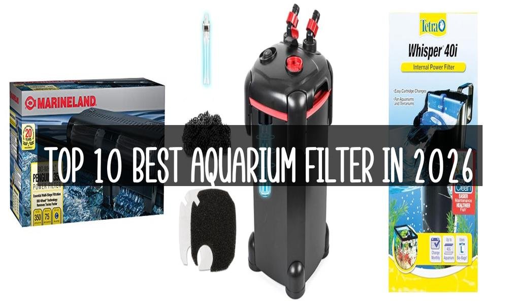 Top 10 Best Aquarium Filter in 2026