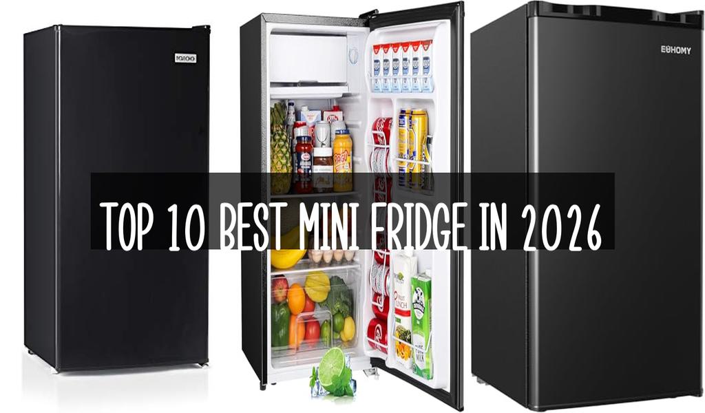 Top 10 Best Mini Fridge in 2026