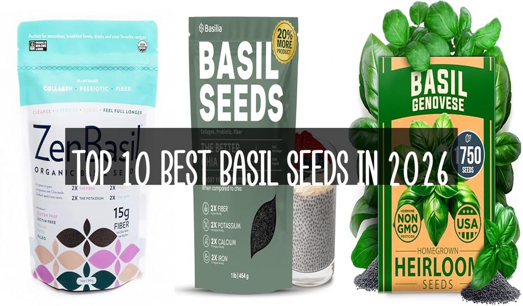 Top 10 Best Basil Seeds in 2026